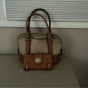 Elegant Brown and Cream Women's Handbag Set